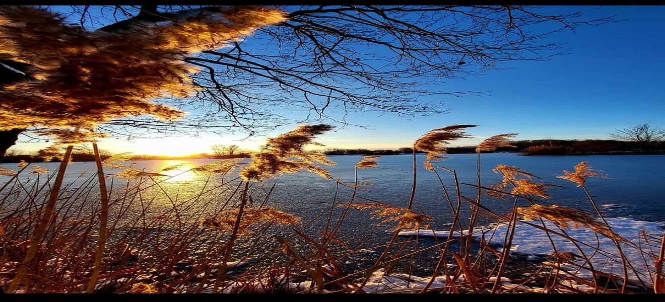 Winterstimmung Imnitzer Lachen (Foto: Karsten Behnke)